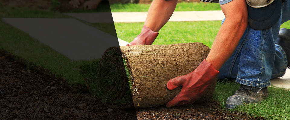 Point Pleasant Beach Landscapers